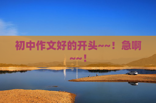 初中作文好的开头~~！急啊~~！