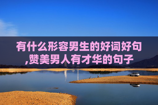 有什么形容男生的好词好句,赞美男人有才华的句子