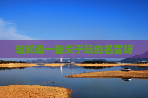 谁知道一些关于玩的名言呀