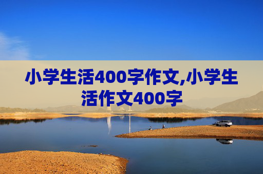 小学生活400字作文,小学生活作文400字
