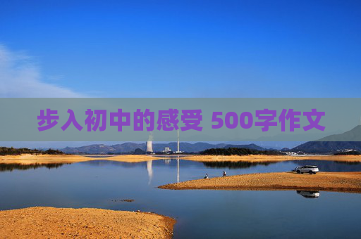 步入初中的感受 500字作文