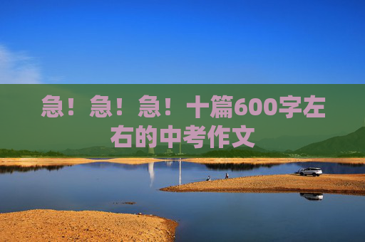 急！急！急！十篇600字左右的中考作文