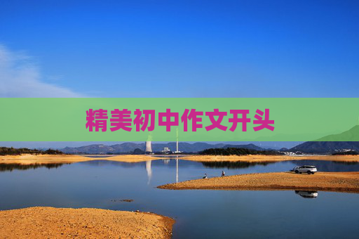 精美初中作文开头