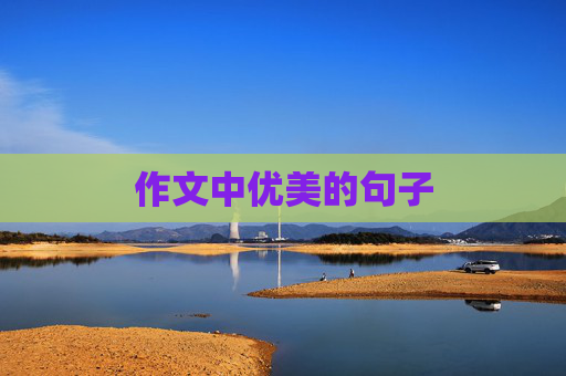 作文中优美的句子