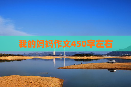 我的妈妈作文450字左右