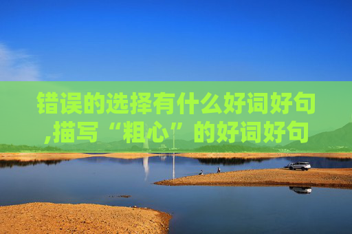 错误的选择有什么好词好句,描写“粗心”的好词好句有哪些？