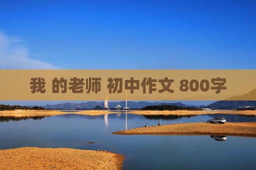 我 的老师 初中作文 800字