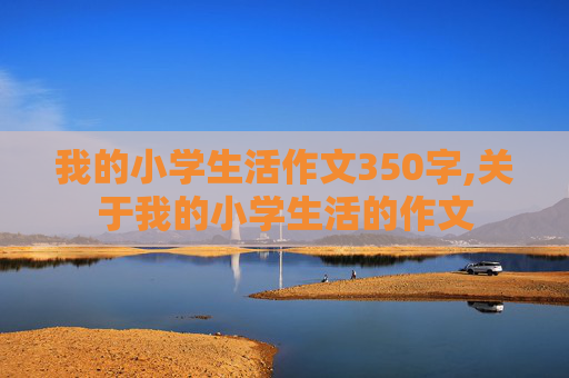 我的小学生活作文350字,关于我的小学生活的作文