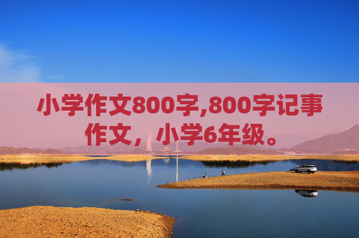 小学作文800字,800字记事作文，小学6年级。