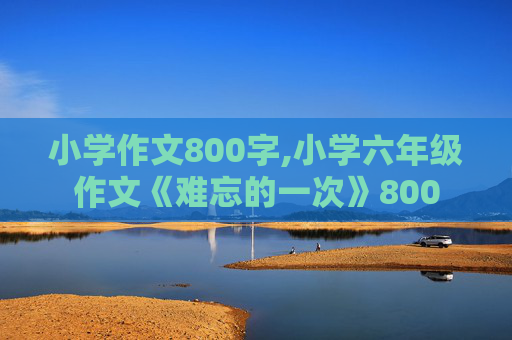 小学作文800字,小学六年级作文《难忘的一次》800