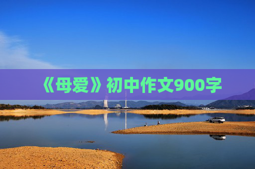 《母爱》初中作文900字