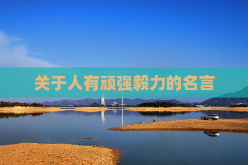 关于人有顽强毅力的名言