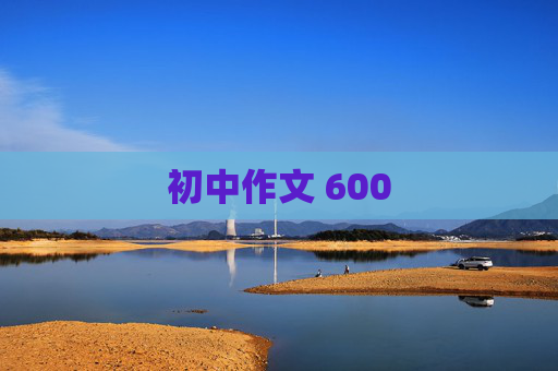 初中作文 600