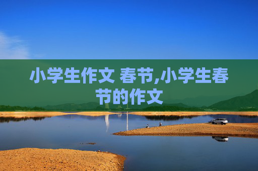小学生作文 春节,小学生春节的作文