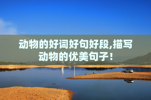 动物的好词好句好段,描写动物的优美句子！