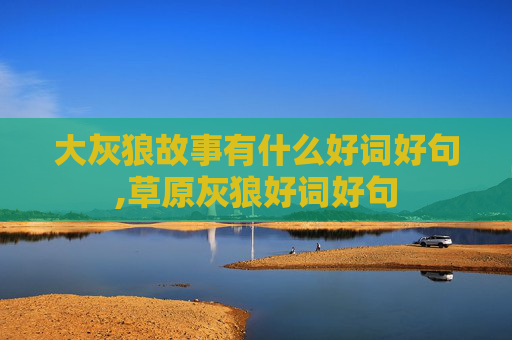 大灰狼故事有什么好词好句,草原灰狼好词好句