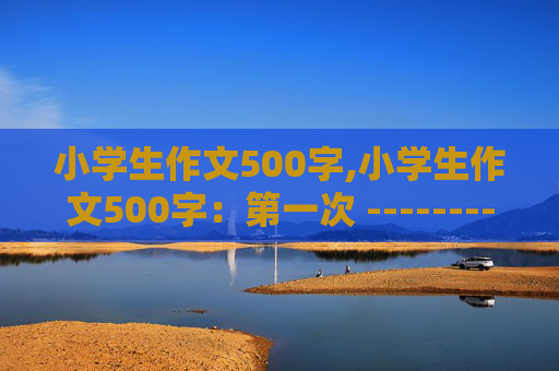 小学生作文500字,小学生作文500字：第一次 ------------------？？？？
