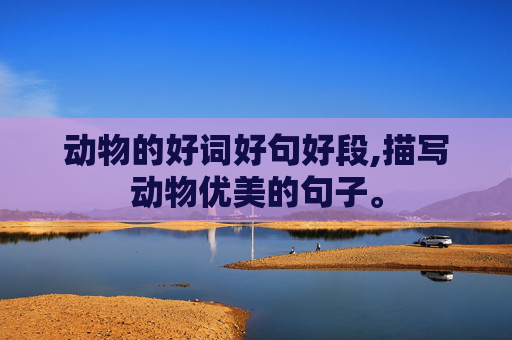 动物的好词好句好段,描写动物优美的句子。