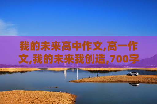 我的未来高中作文,高一作文,我的未来我创造,700字