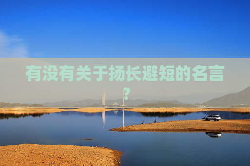 有没有关于扬长避短的名言？