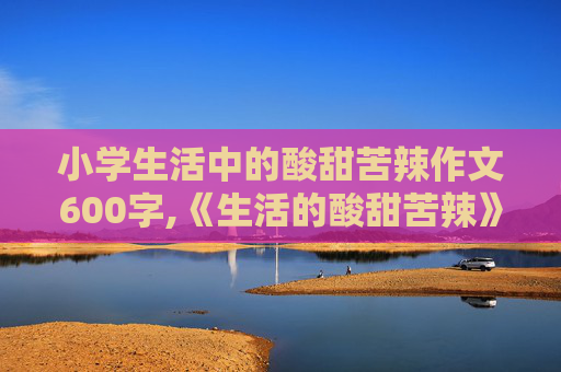 小学生活中的酸甜苦辣作文600字,《生活的酸甜苦辣》作文800字
