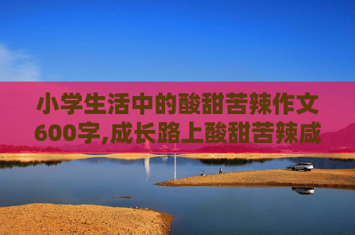 小学生活中的酸甜苦辣作文600字,成长路上酸甜苦辣咸作文600字