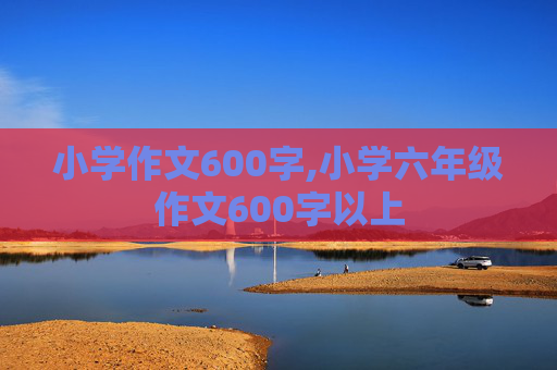 小学作文600字,小学六年级作文600字以上