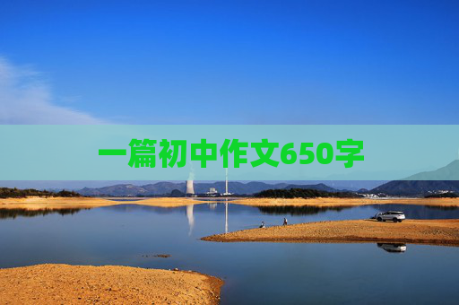 一篇初中作文650字