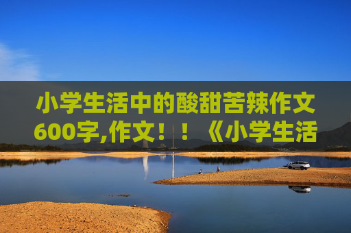 小学生活中的酸甜苦辣作文600字,作文！！《小学生活中的酸甜苦辣》