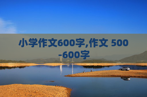 小学作文600字,作文 500-600字
