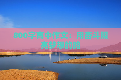 800字高中作文：用奋斗照亮梦想的路