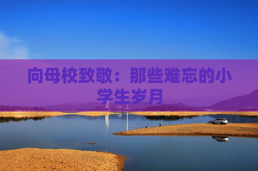 向母校致敬：那些难忘的小学生岁月