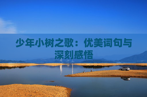 少年小树之歌：优美词句与深刻感悟