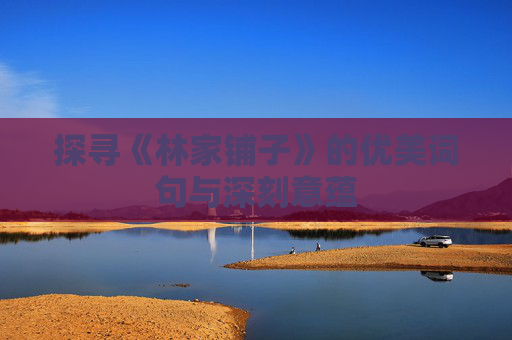 探寻《林家铺子》的优美词句与深刻意蕴