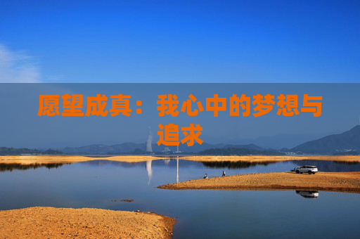 愿望成真：我心中的梦想与追求