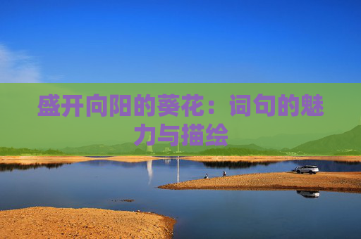 盛开向阳的葵花：词句的魅力与描绘