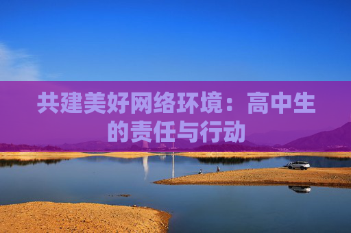 共建美好网络环境：高中生的责任与行动