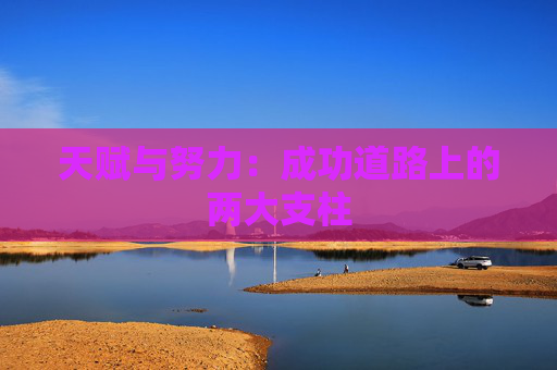 天赋与努力：成功道路上的两大支柱