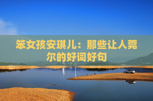 笨女孩安琪儿：那些让人莞尔的好词好句
