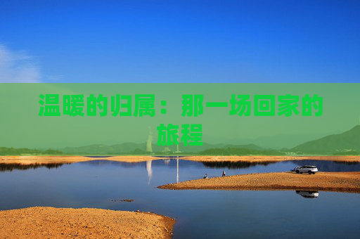 温暖的归属：那一场回家的旅程