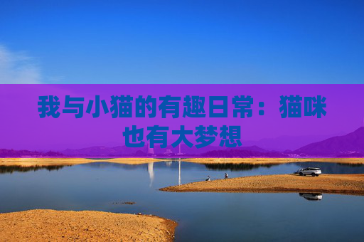 我与小猫的有趣日常：猫咪也有大梦想