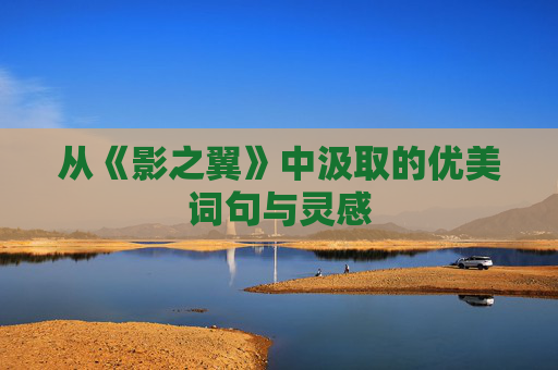 从《影之翼》中汲取的优美词句与灵感