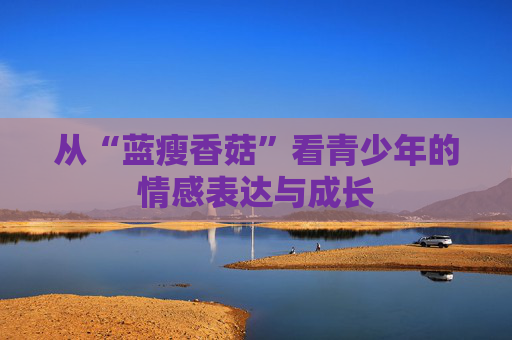 从“蓝瘦香菇”看青少年的情感表达与成长