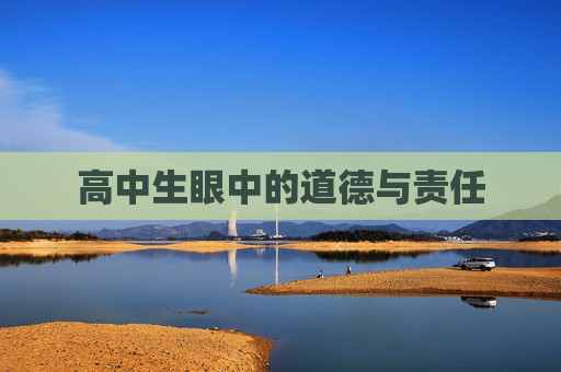 高中生眼中的道德与责任