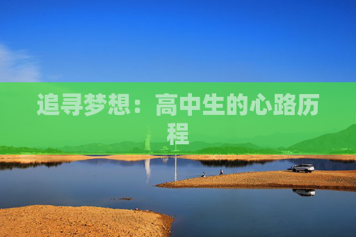 追寻梦想：高中生的心路历程