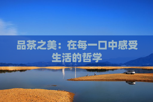 品茶之美：在每一口中感受生活的哲学