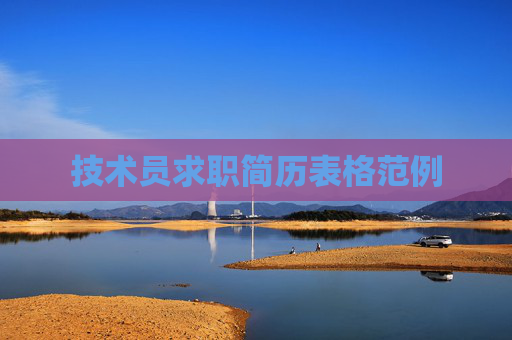 技术员求职简历表格范例