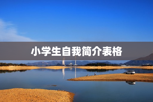 小学生自我简介表格