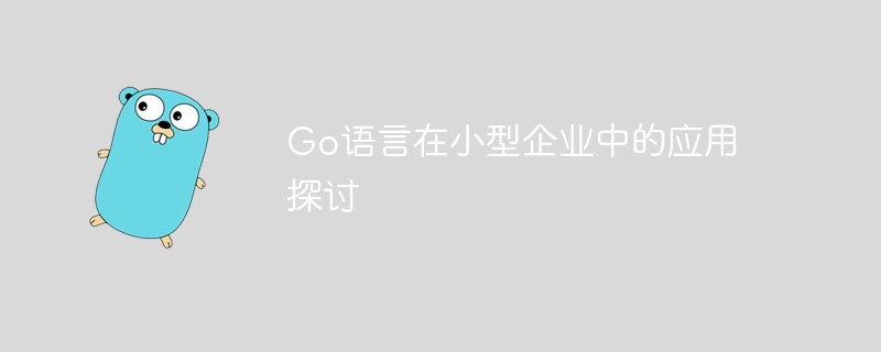 小企业中Go语言的应用研究