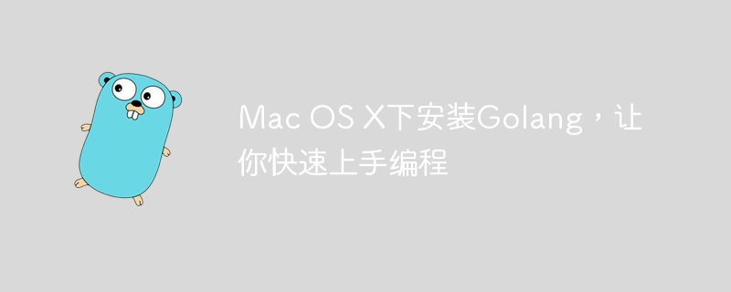 在Mac OS X上安装Golang并开始快速编程